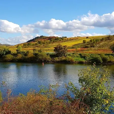 דירה Calmont *