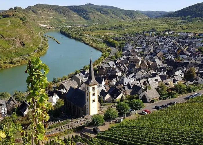 Апартаменты Calmont *