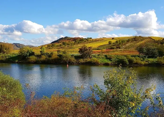 Апартаменты Calmont *