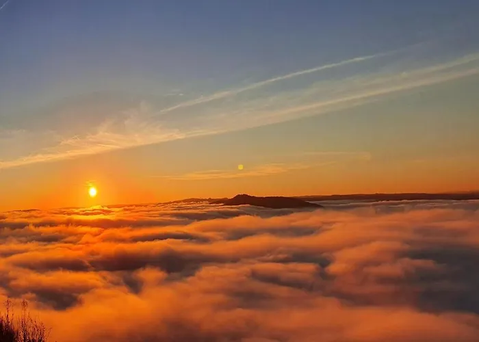 Calmont * Бремм